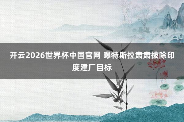 开云2026世界杯中国官网 曝特斯拉肃肃拔除印度建厂目标