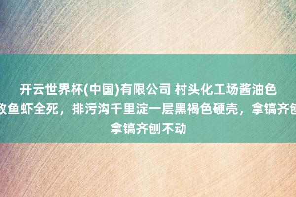 开云世界杯(中国)有限公司 村头化工场酱油色浑水致鱼虾全死，排污沟千里淀一层黑褐色硬壳，拿镐齐刨不动