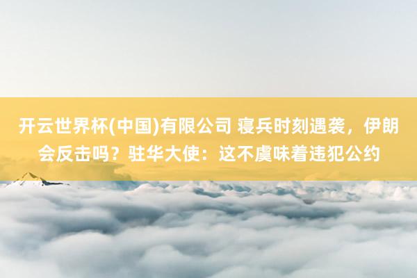 开云世界杯(中国)有限公司 寝兵时刻遇袭，伊朗会反击吗？驻华大使：这不虞味着违犯公约