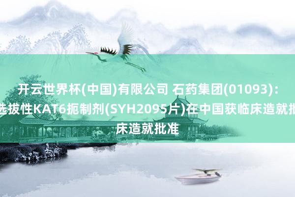 开云世界杯(中国)有限公司 石药集团(01093)：高选拔性KAT6扼制剂(SYH2095片)在中国获临床造就批准