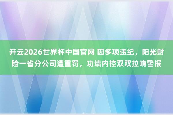 开云2026世界杯中国官网 因多项违纪，阳光财险一省分公司遭重罚，功绩内控双双拉响警报