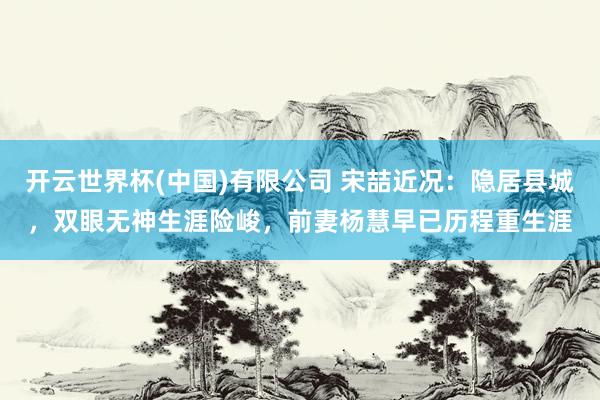 开云世界杯(中国)有限公司 宋喆近况：隐居县城，双眼无神生涯险峻，前妻杨慧早已历程重生涯