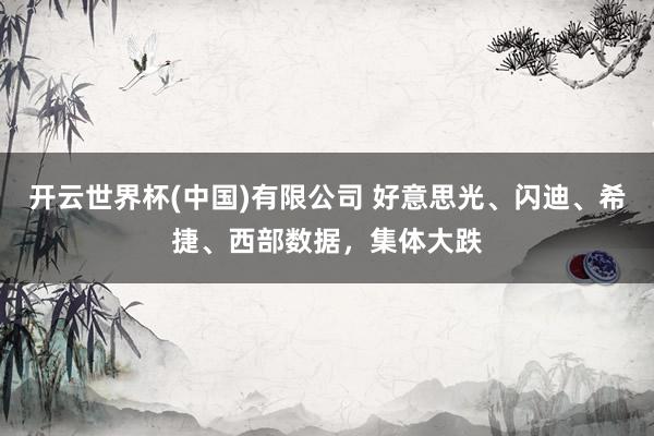 开云世界杯(中国)有限公司 好意思光、闪迪、希捷、西部数据，集体大跌