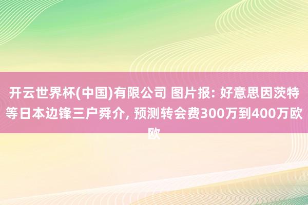 开云世界杯(中国)有限公司 图片报: 好意思因茨特等日本边锋三户舜介， 预测转会费300万到400万欧