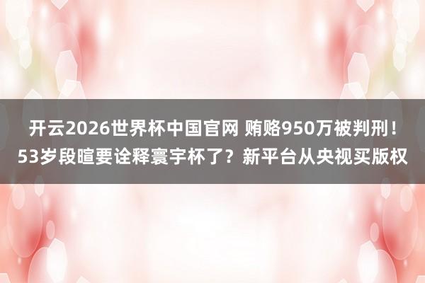 开云2026世界杯中国官网 贿赂950万被判刑！53岁段暄要诠释寰宇杯了？新平台从央视买版权