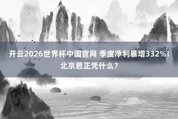 开云2026世界杯中国官网 季度净利暴增332%！北京君正凭什么？