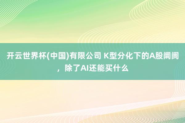 开云世界杯(中国)有限公司 K型分化下的A股阛阓，除了AI还能买什么