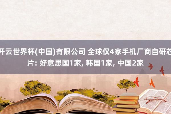 开云世界杯(中国)有限公司 全球仅4家手机厂商自研芯片: 好意思国1家， 韩国1家， 中国2家