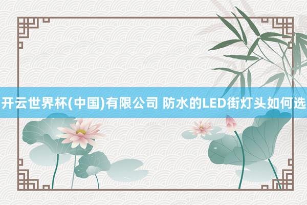 开云世界杯(中国)有限公司 防水的LED街灯头如何选