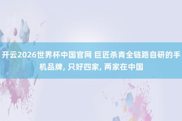 开云2026世界杯中国官网 巨匠杀青全链路自研的手机品牌， 只好四家， 两家在中国