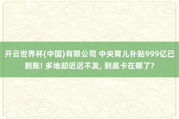 开云世界杯(中国)有限公司 中央育儿补贴999亿已到账! 多地却迟迟不发， 到底卡在哪了?