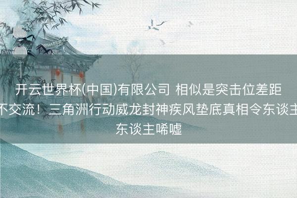 开云世界杯(中国)有限公司 相似是突击位差距却毫不交流！三角洲行动威龙封神疾风垫底真相令东谈主唏嘘