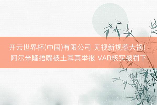 开云世界杯(中国)有限公司 无视新规惹大祸! 阿尔米隆捂嘴被土耳其举报 VAR核实被罚下